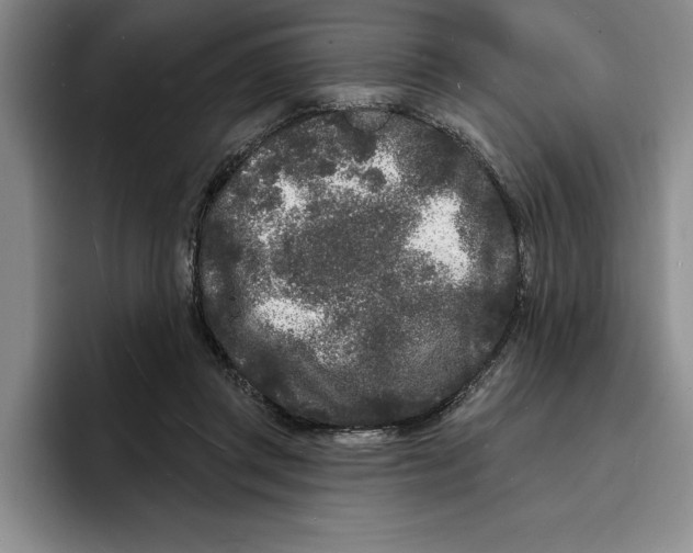 X0000096390357200802211147