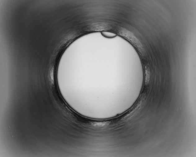 X0000096390358200802211147
