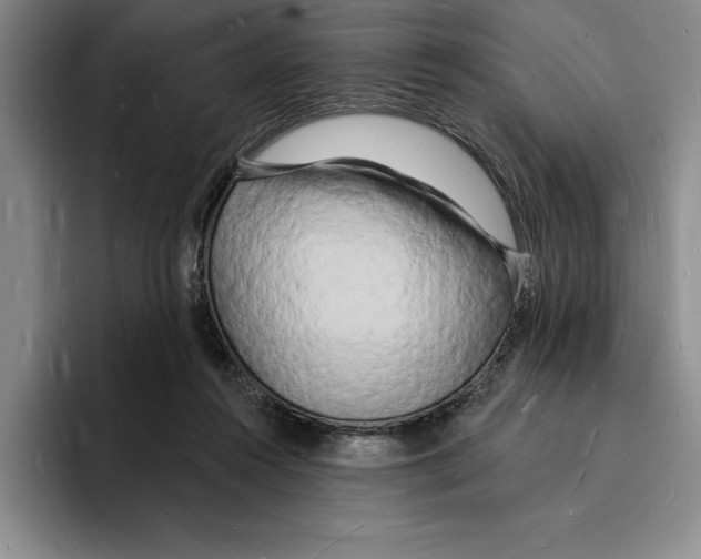 X0000096390360200802211147