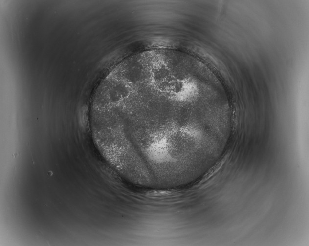 X0000096390361200802211147