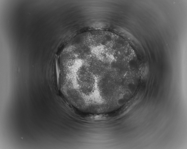X0000096390365200802211147