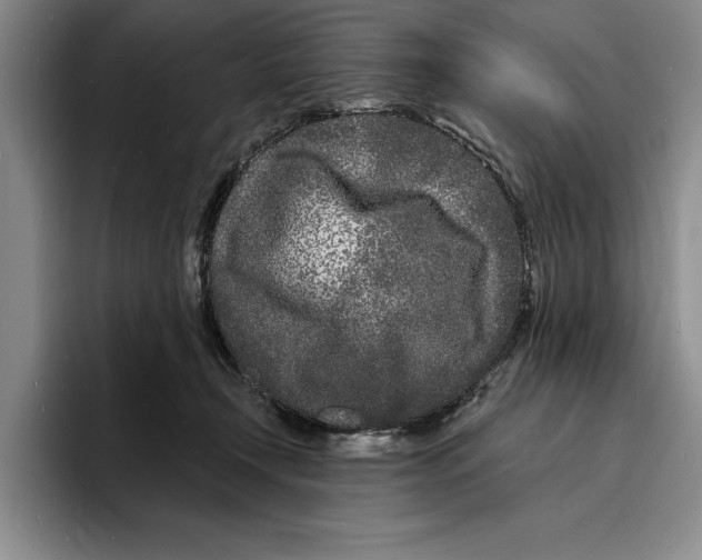 X0000096390366200802211147