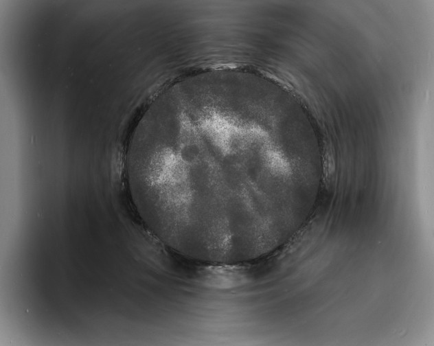 X0000096390367200802211147