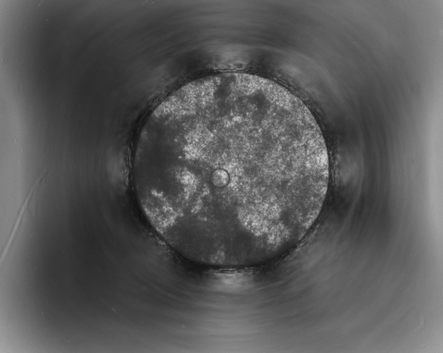 X0000096390370200802211147