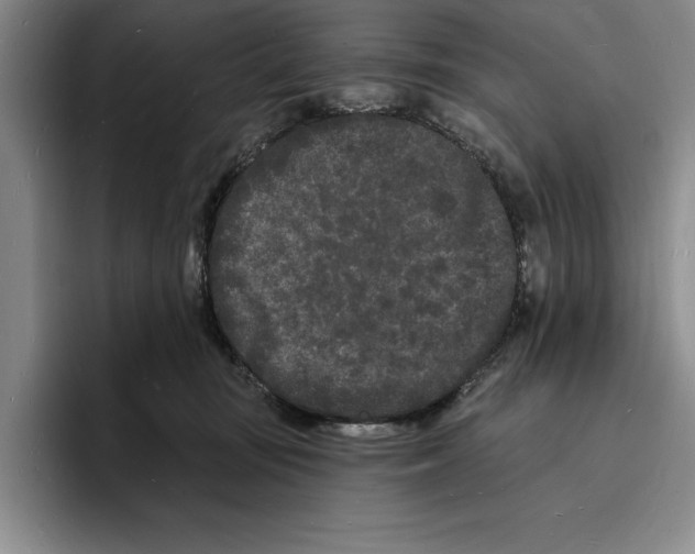 X0000096390371200802211147