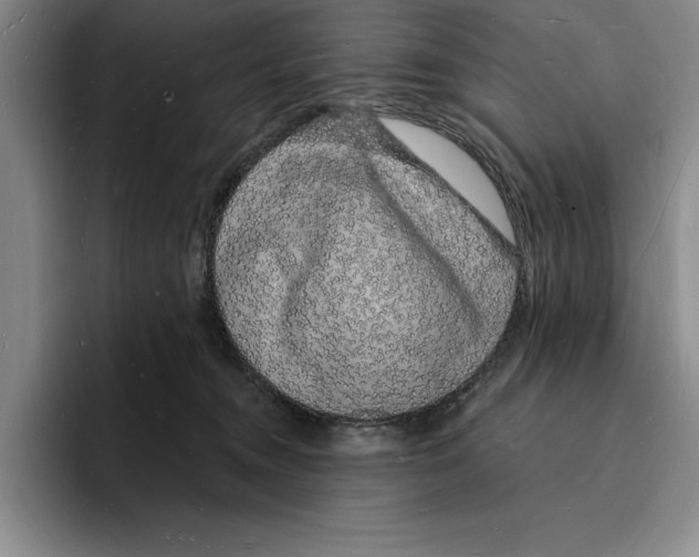 X0000096390372200802211147