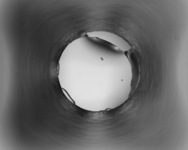 X0000096390384200802211147