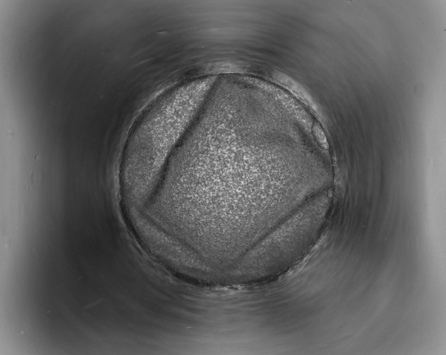 X0000096390386200802211147