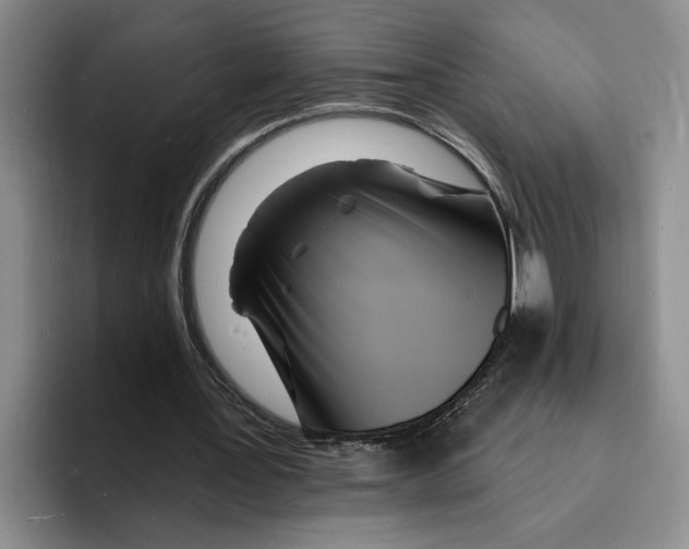 X0000096390387200802211147