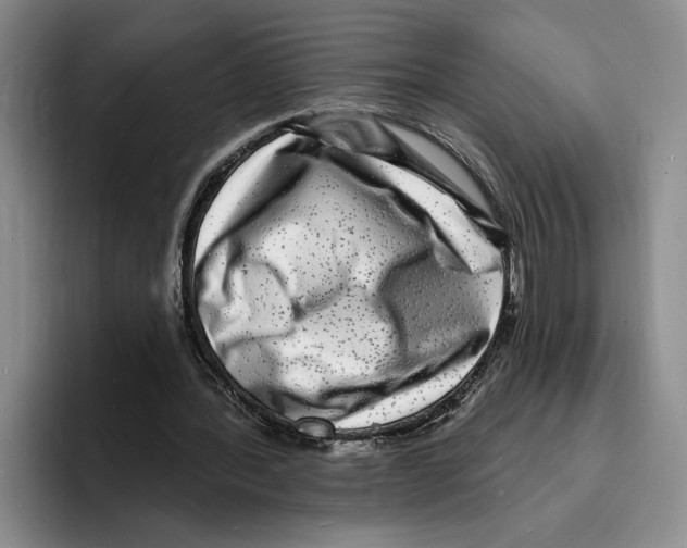 X0000096390388200802211147