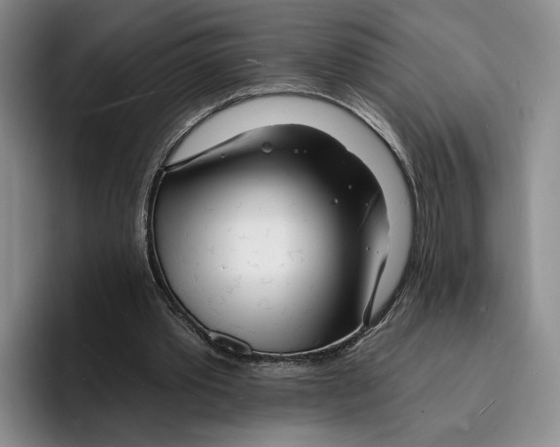 X0000096390389200802211147