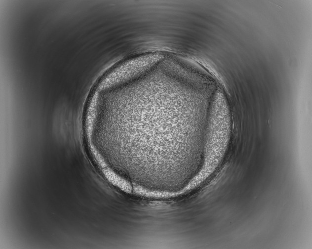 X0000096390390200802211147