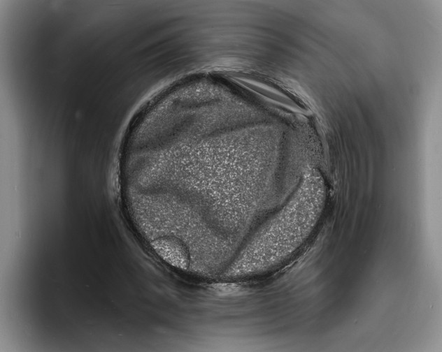 X0000096390392200802211146