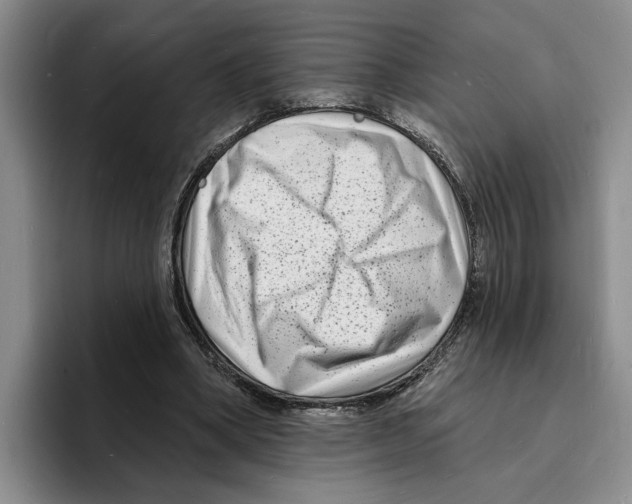 X0000096390394200802211146