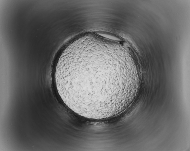 X0000096390395200802211146