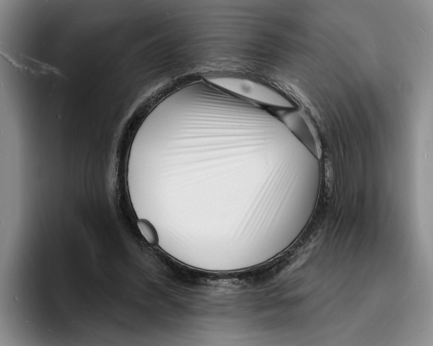 X0000096390396200802211146
