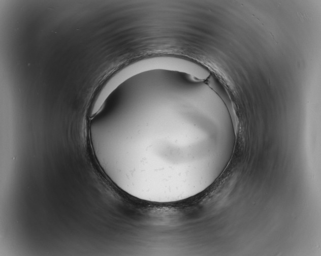 X0000096390397200802211146