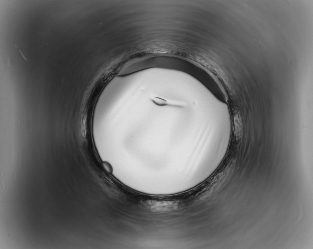 X0000096390400200802211146