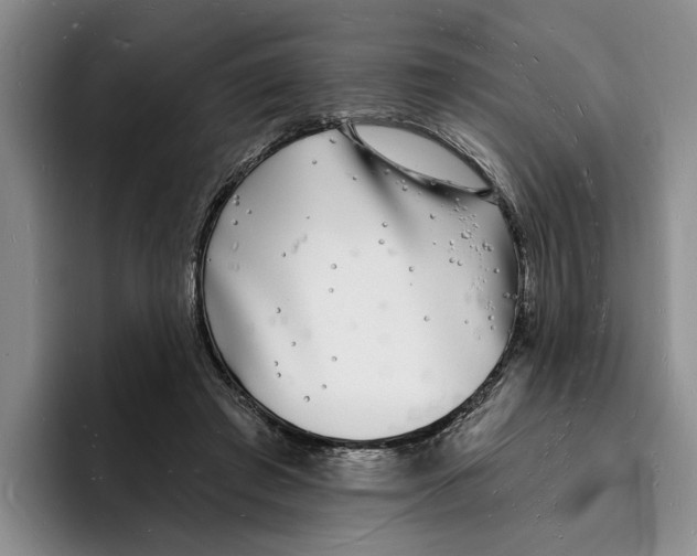 X0000096390401200802211146