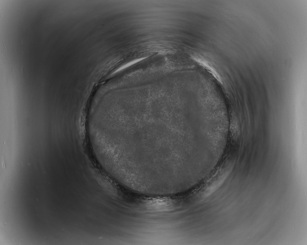 X0000096390402200802211146
