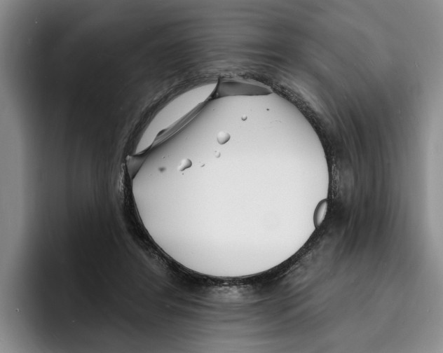 X0000096390404200802211146