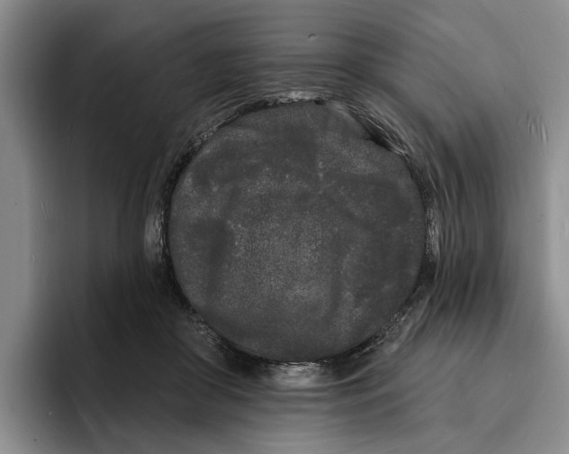 X0000096390410200802211146