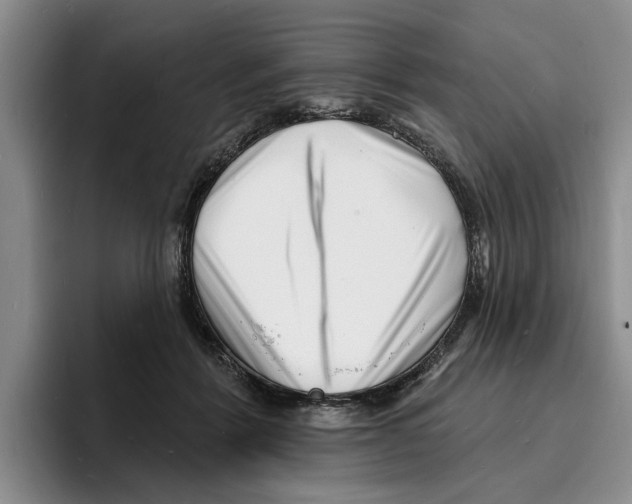 X0000096390412200802211146
