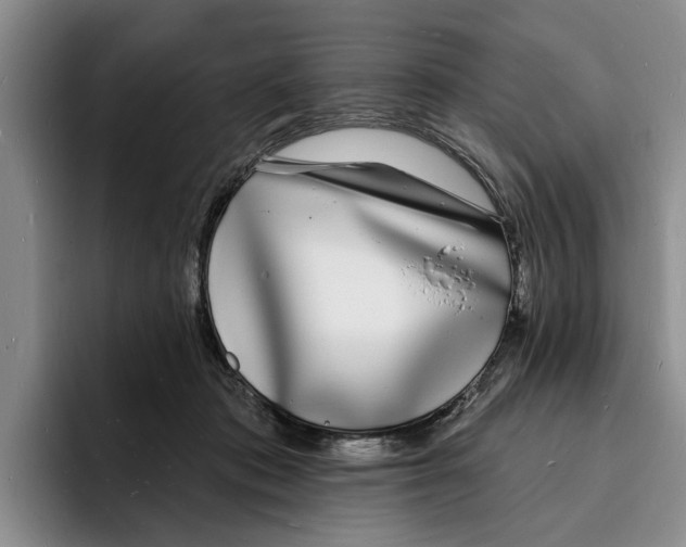 X0000096390413200802211146