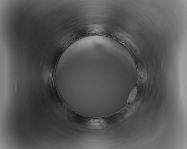 X0000096390415200802211146