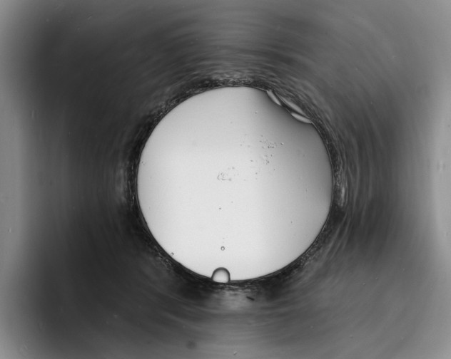 X0000096390416200802211146