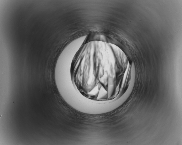 X0000096390417200802211146