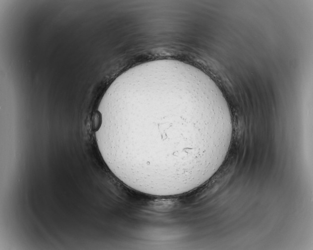 X0000096390418200802211146