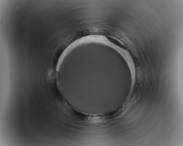 X0000096390419200802211146