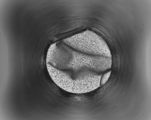 X0000096390420200802211146