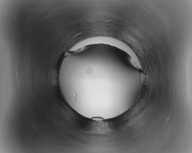 X0000096390421200802211146
