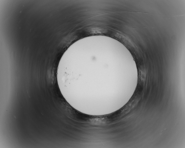 X0000096390422200802211146