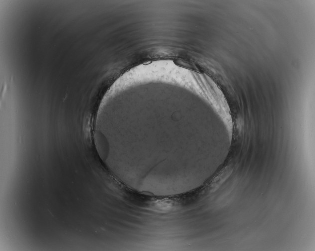 X0000096390423200802211146