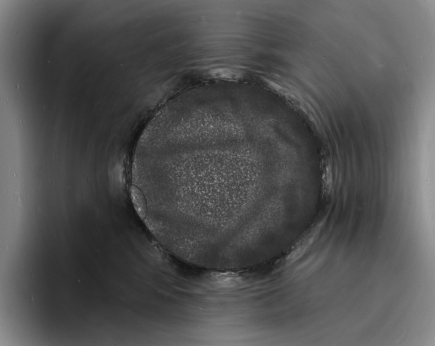 X0000096390424200802211146