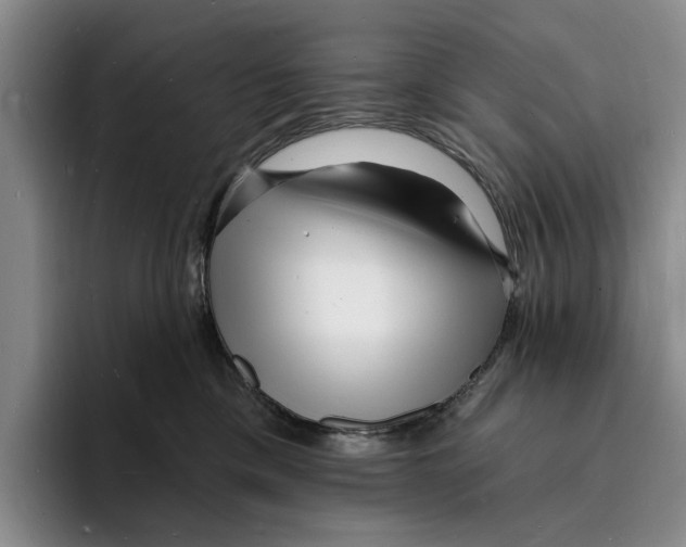 X0000096390425200802211146
