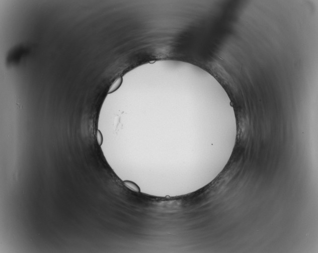 X0000096390426200802211146