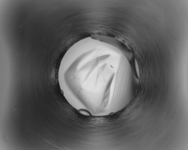 X0000096390428200802211146