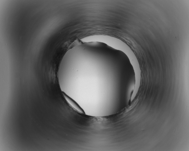 X0000096390429200802211146