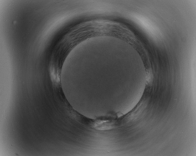 X0000096390431200802211146