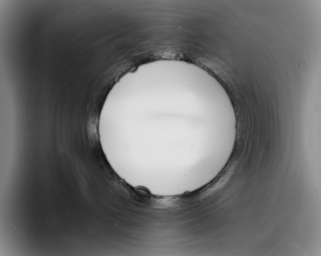 X0000096390432200802211146
