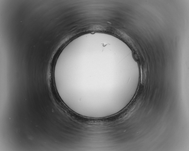 X0000096390435200802211145