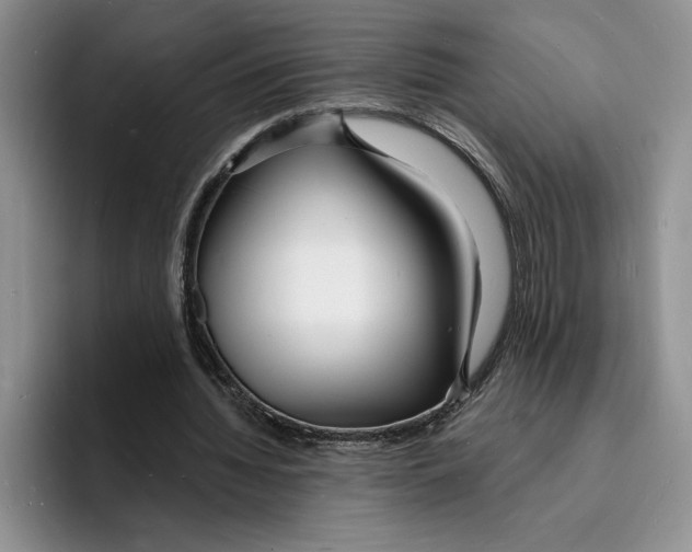 X0000096390436200802211145