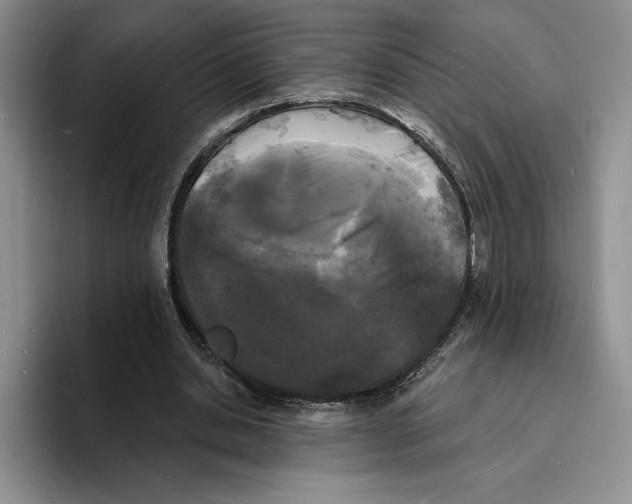 X0000096390438200802211145
