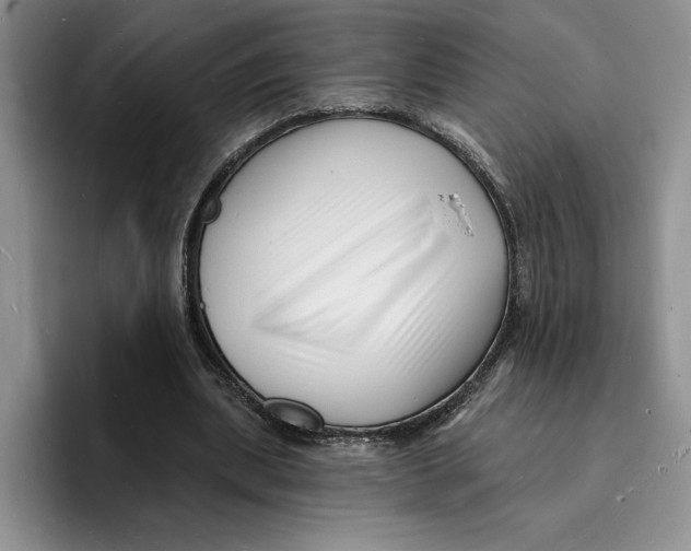 X0000096390439200802211145