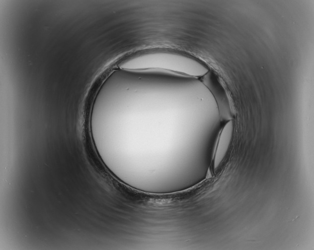 X0000096390440200802211145