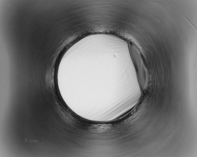 X0000096390443200802211145
